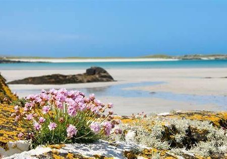Wild Atlantic Stay Guest House Self-Catering Inverin Extérieur photo