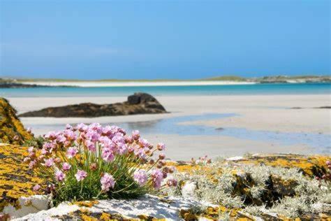 Wild Atlantic Stay Guest House Self-Catering Inverin Extérieur photo